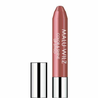 Color &amp; Shine Lip Stylo 60 Winter Berry